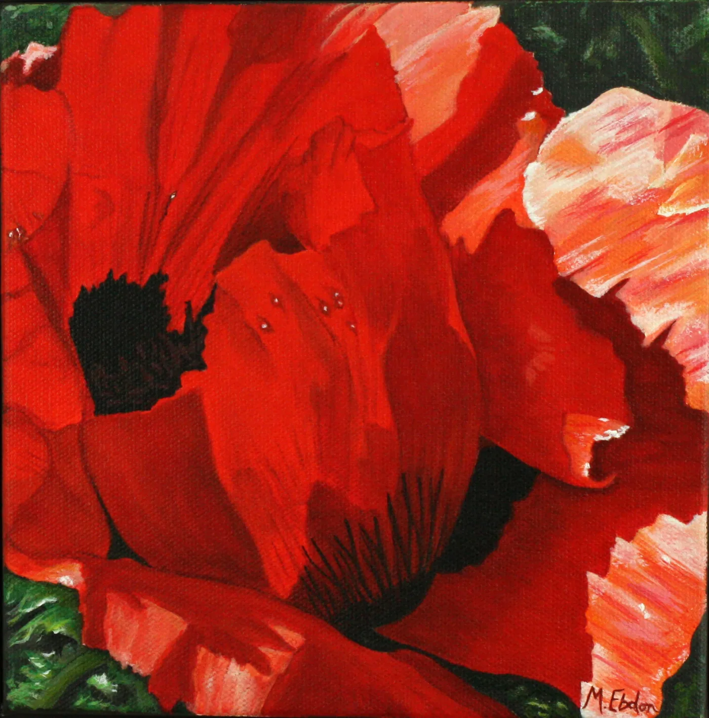 Papaveraceae