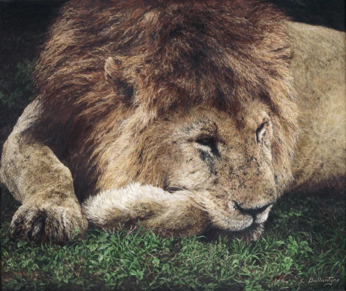 The Weary Warrior