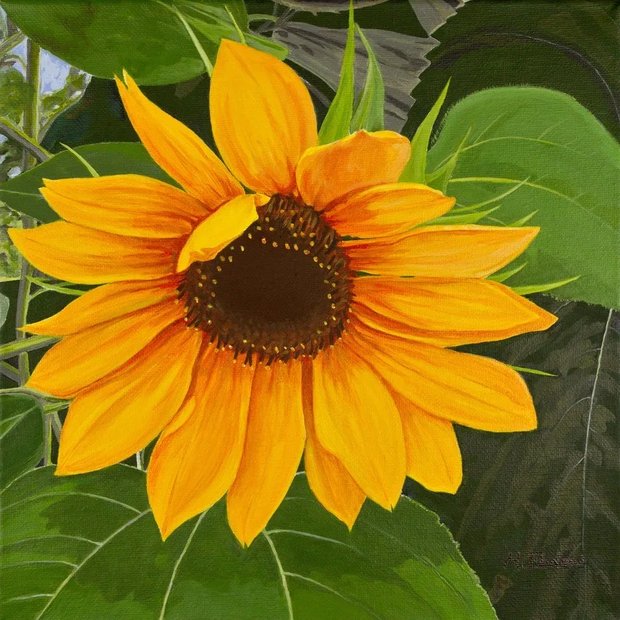 In Full Bloom