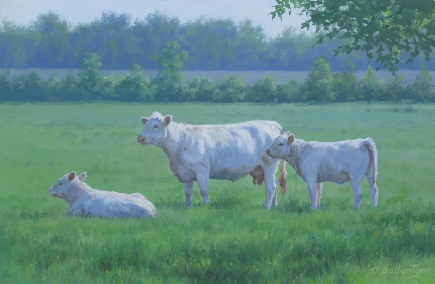 June Morning
