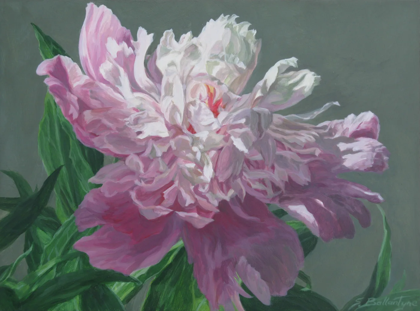 Peony 3